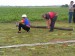 okrsek 2013 054